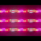 Led 12*60W Pixel Moving Head Light with RGBW for Events Rental Club Concert